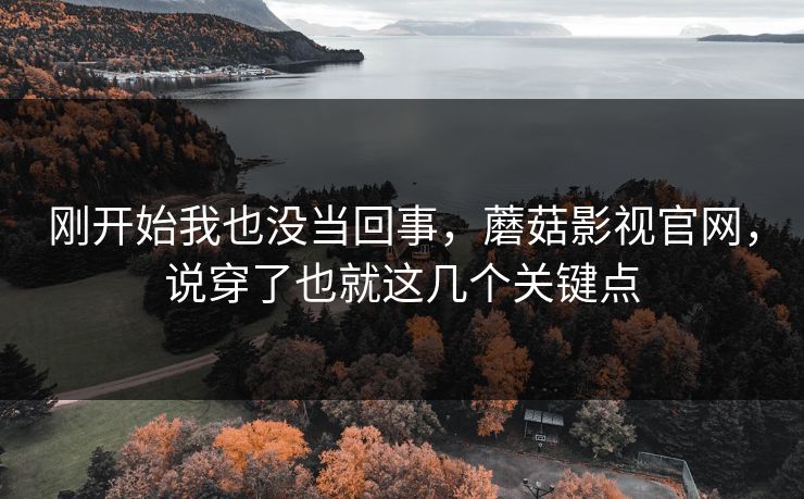 刚开始我也没当回事，蘑菇影视官网，说穿了也就这几个关键点