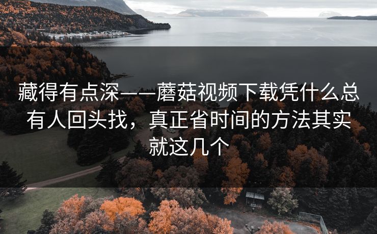 藏得有点深——蘑菇视频下载凭什么总有人回头找，真正省时间的方法其实就这几个
