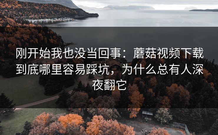 刚开始我也没当回事：蘑菇视频下载到底哪里容易踩坑，为什么总有人深夜翻它