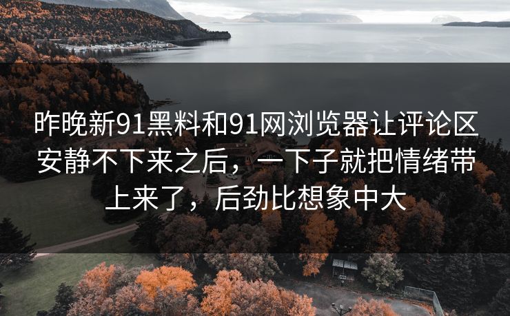 昨晚新91黑料和91网浏览器让评论区安静不下来之后，一下子就把情绪带上来了，后劲比想象中大