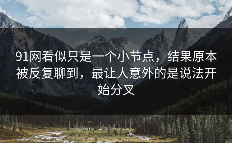 91网看似只是一个小节点,结果原本被反复聊到,最让人意外的是说法开始分叉 91网看似只是一个小节点,结果原本被反复聊到,最让人意外的是说法开始分叉